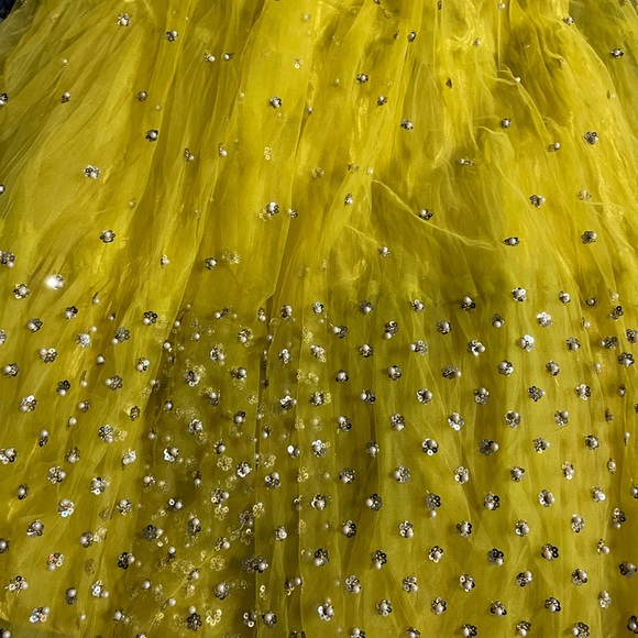 Yellow and Grey Lehenga - Picture 6 of 6